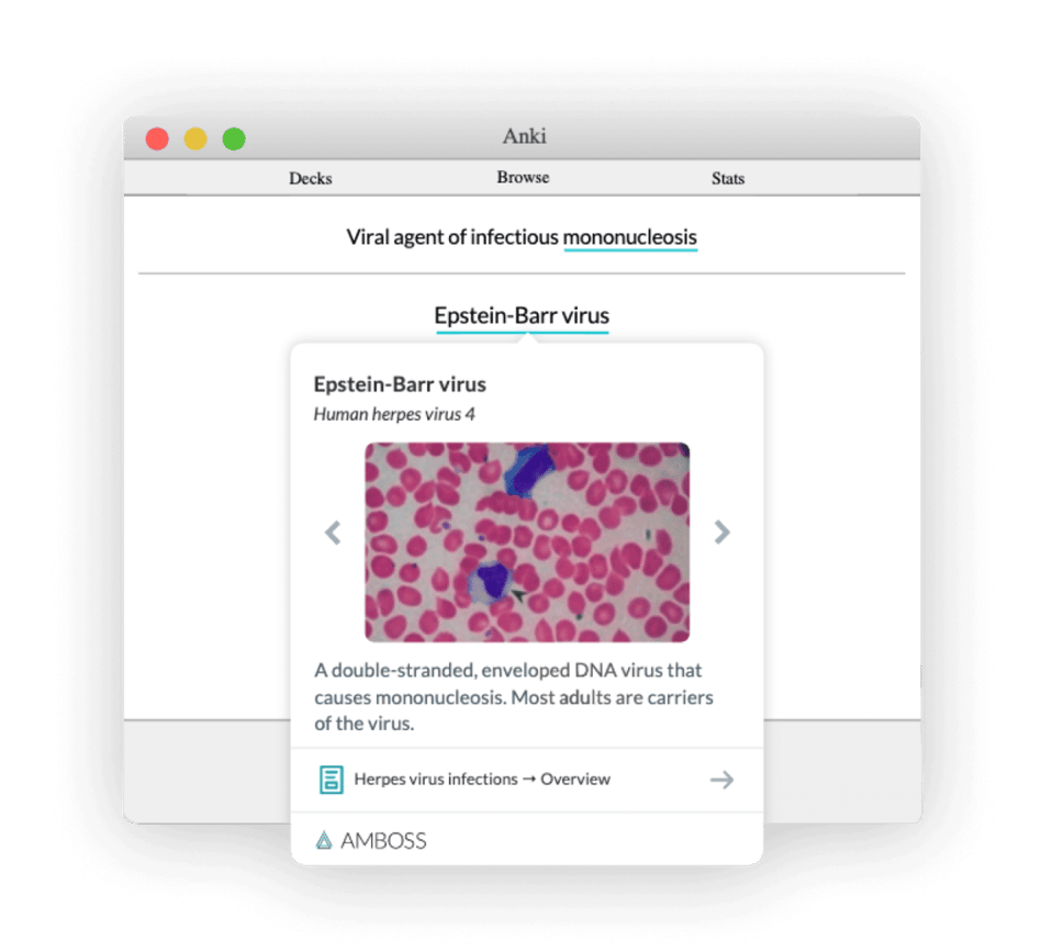 7 Best Medical School Study Resources For A First Year Medical Student 7-best-medical-school-study-resources-for-a-first-year-medical-student